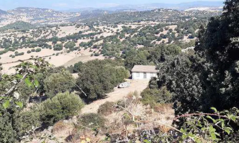 Terreno a Olzai (Nuoro) — foto 1