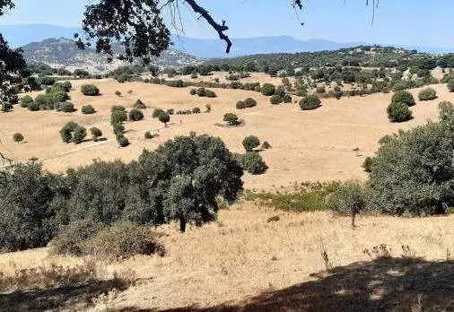 Terreno a Sarule (Nuoro) — foto 1