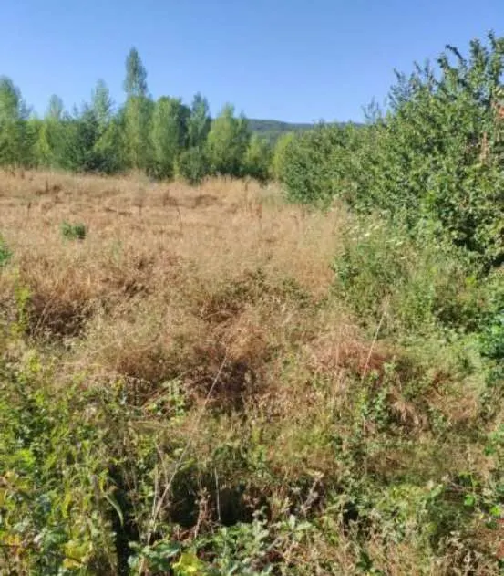 Terreno a Perugia (Perugia) — foto 1