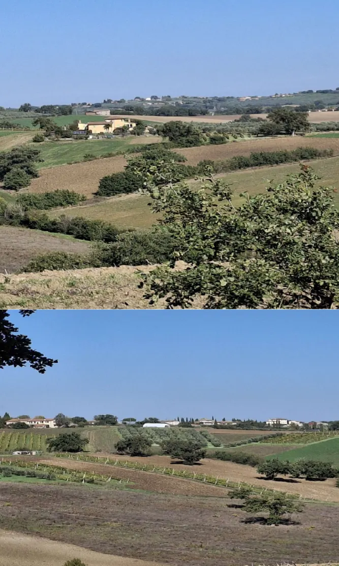 Terreno a Montefalco (Perugia) — foto 1