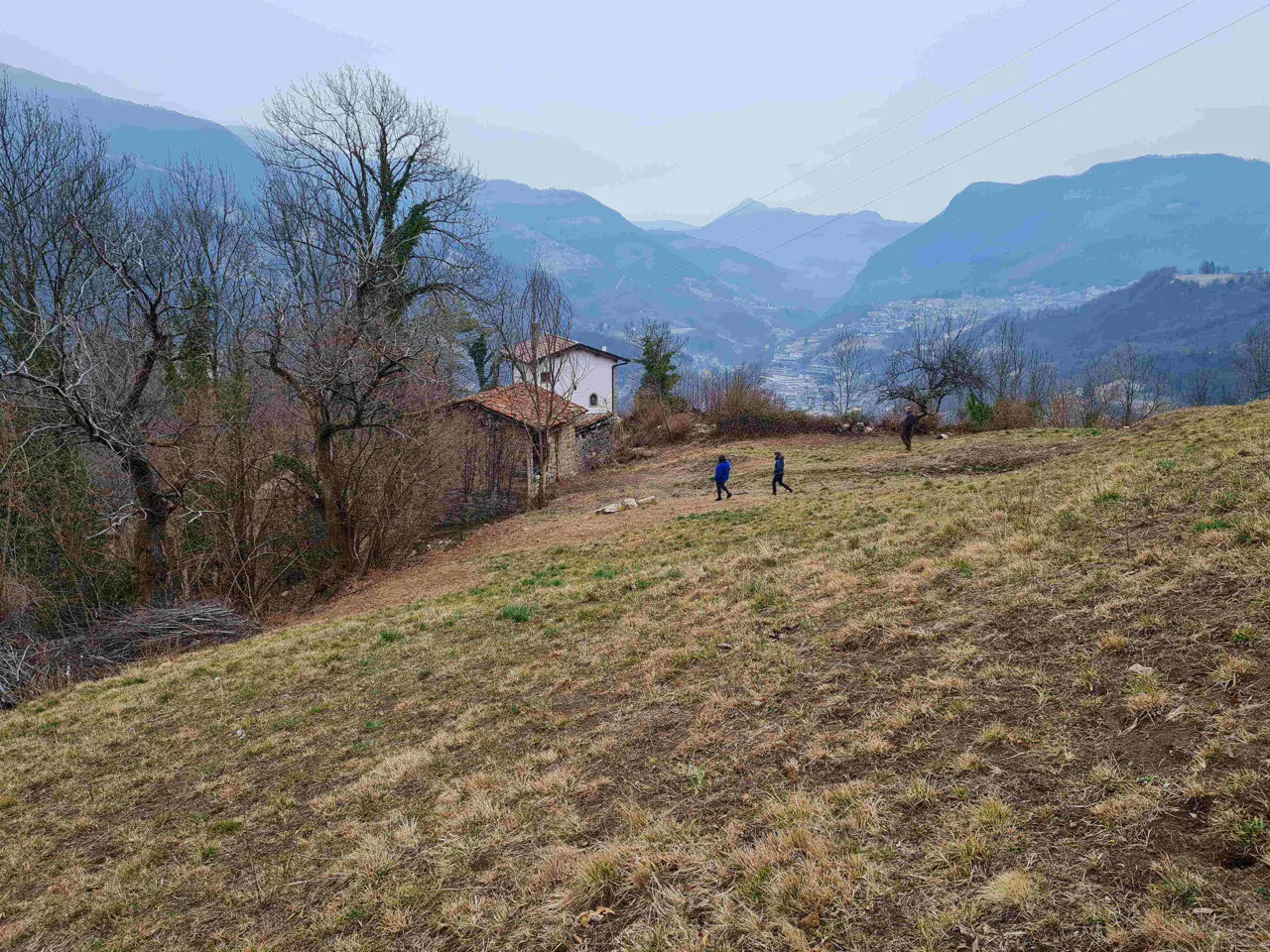 Terreno a Blello (Bergamo) — foto 1
