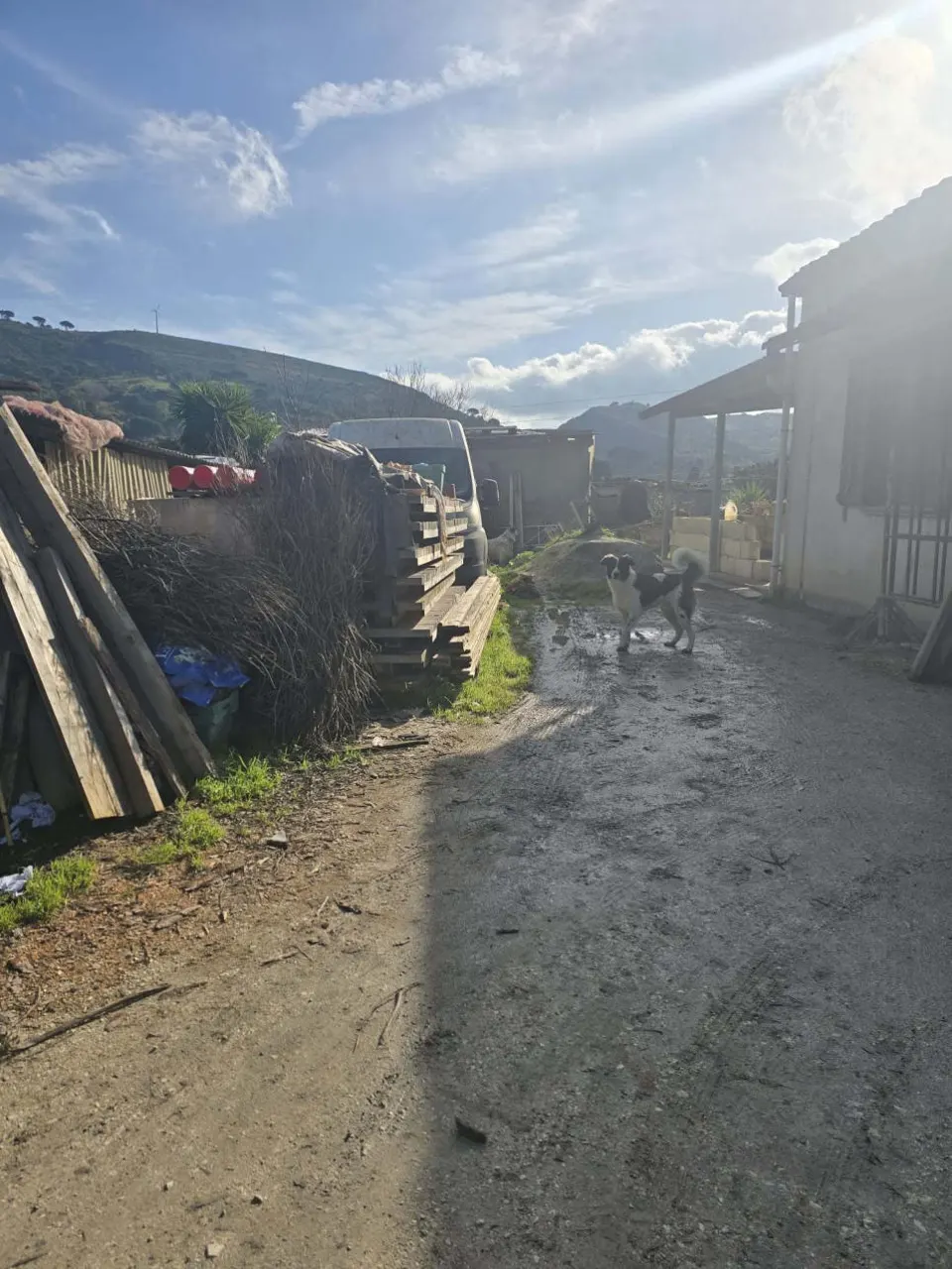 Appartamento civile a Calatafimi-Segesta (Trapani) — foto 1