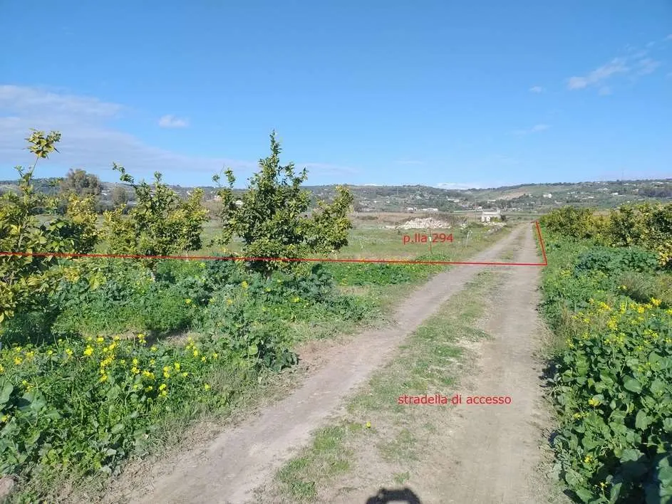 Terreno a Carlentini (Siracusa) — foto 1