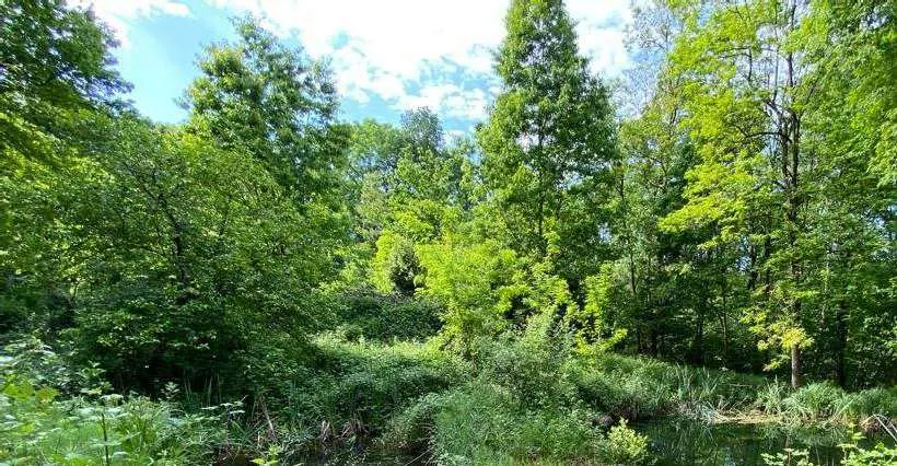 Terreno a Bisuschio (Varese) — foto 1