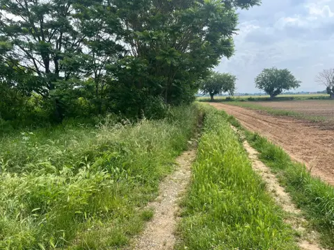 Terreno