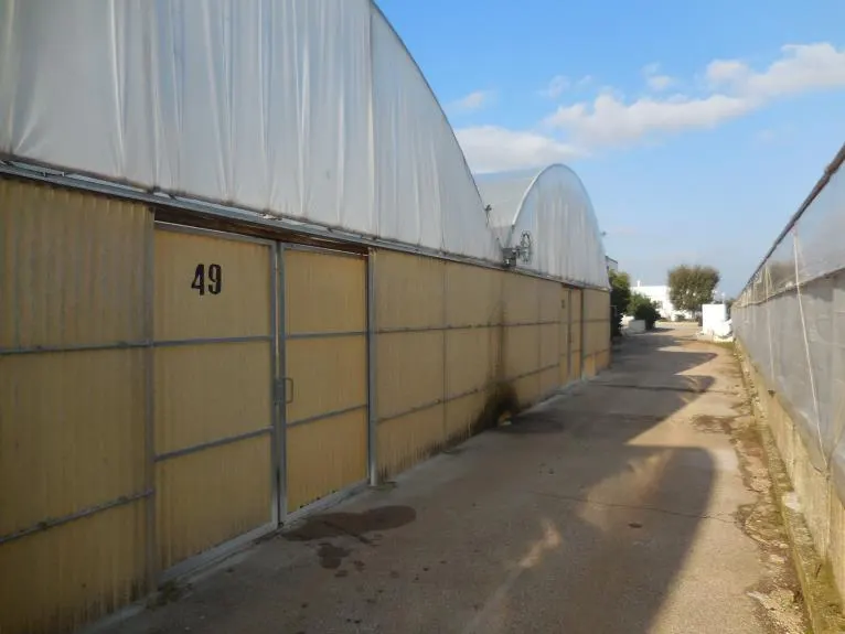 Terreno a Monopoli (Bari) — foto 1