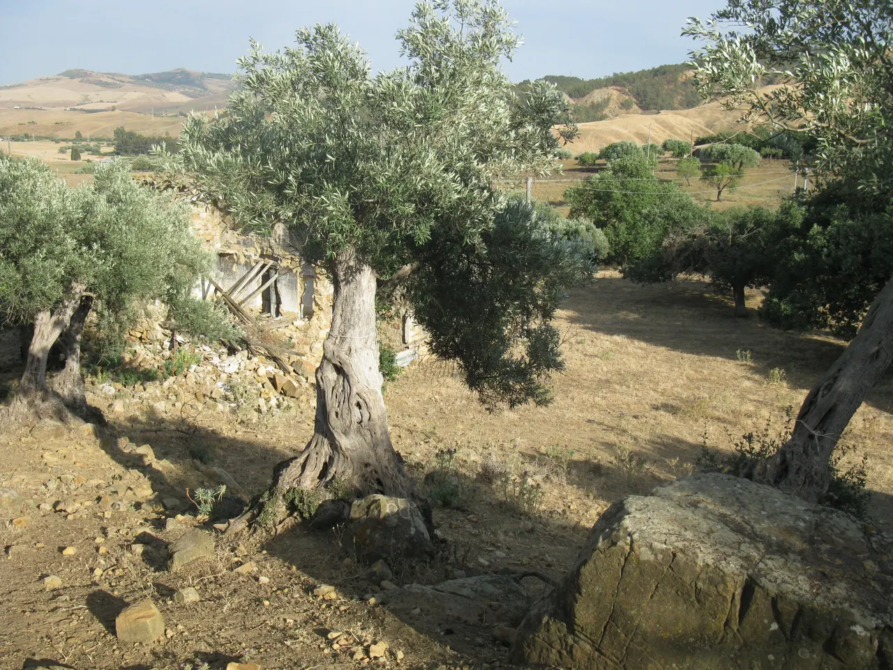 Terreno a Enna (Enna) — foto 1