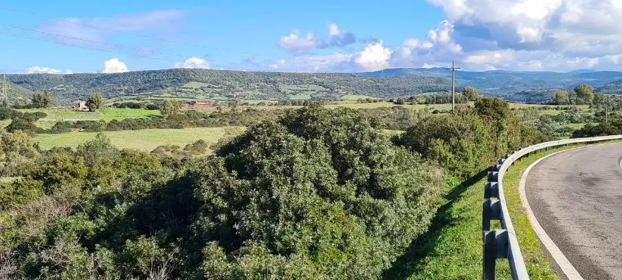 Terreno a Fordongianus (Oristano) — foto 1