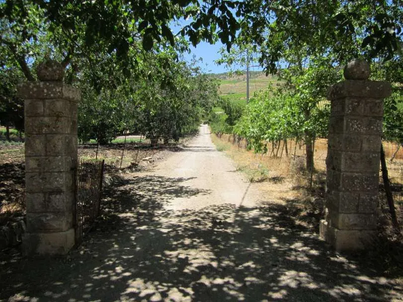 Terreno a Corleone (Palermo) — foto 1