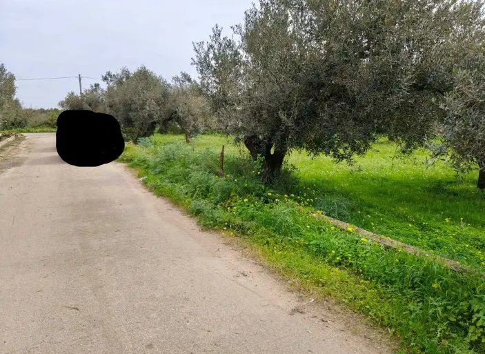 Terreno a Castelvetrano (Trapani) — foto 1