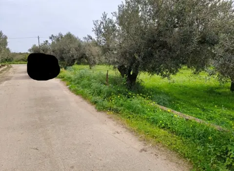 Terreno