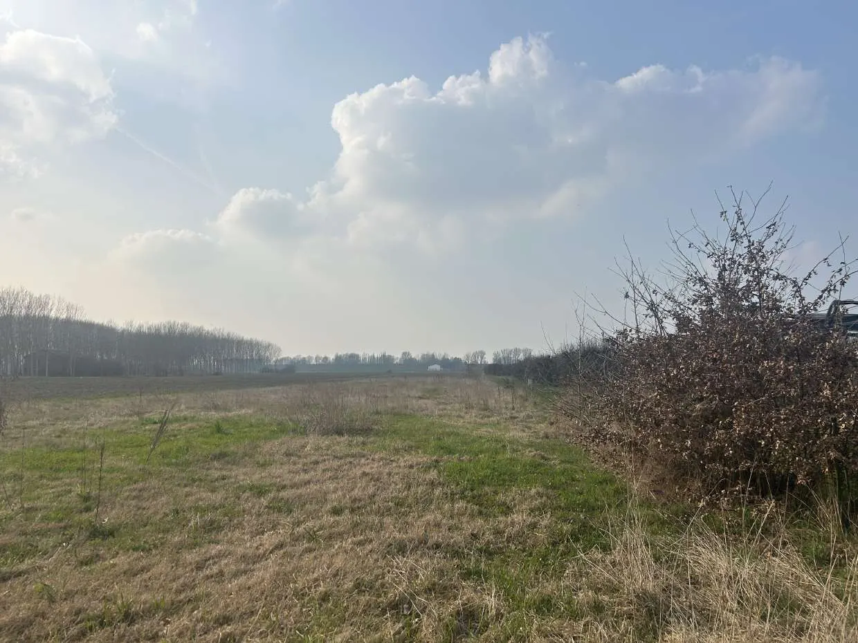 Terreno a San Possidonio (Modena) — foto 1