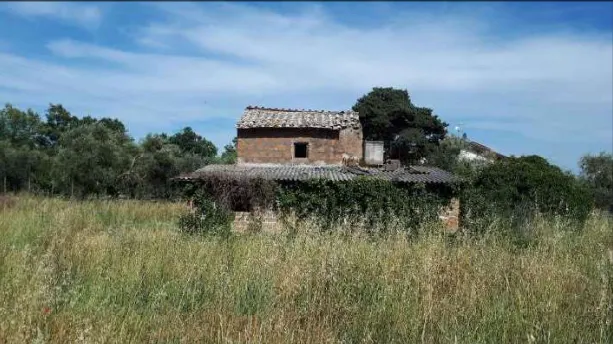 Terreno a Nepi (Viterbo) — foto 1