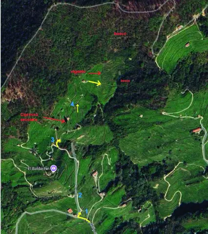 Terreno