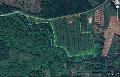Terreno