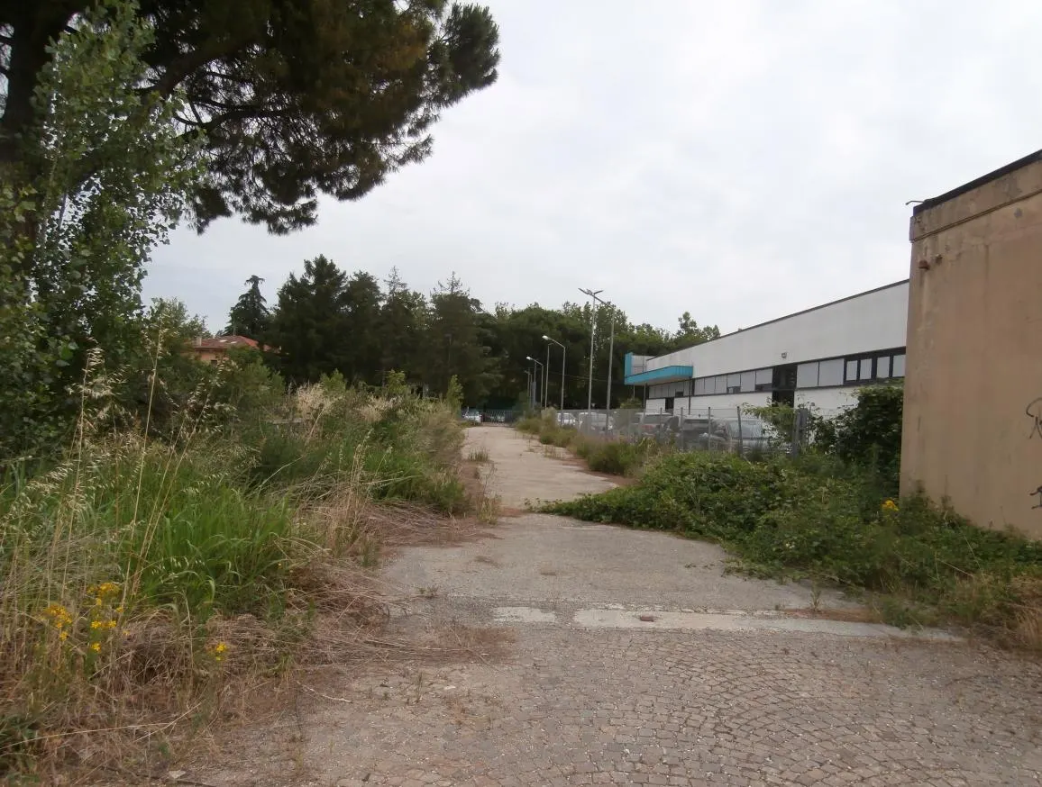 Fabbricati costruiti per esigenze ind a Cesena (Forlì-Cesena) — foto 1