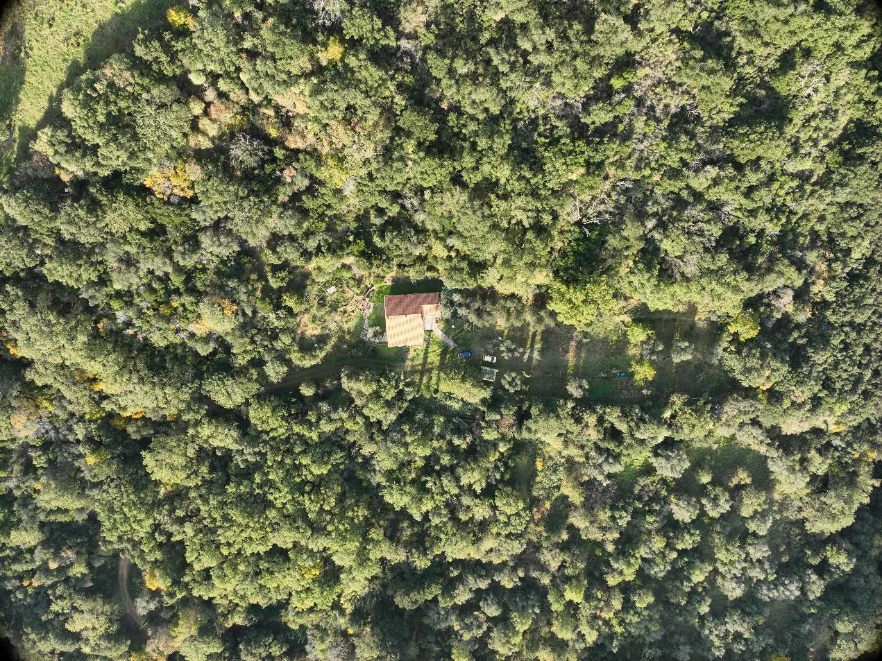 Villa a Scansano (Grosseto) — foto 1