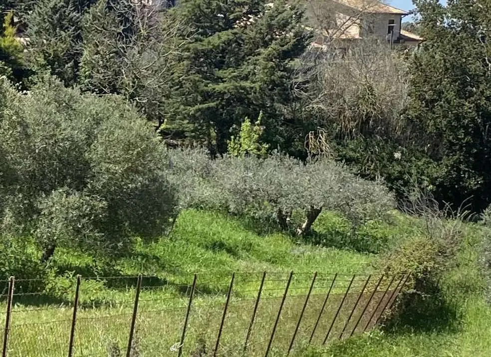 Terreno a Corleone (Palermo) — foto 1