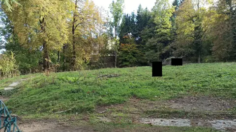 Terreno