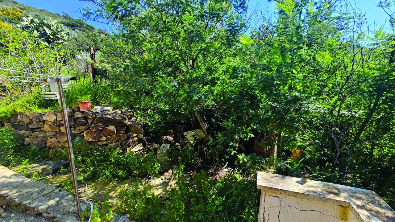 Terreno a Isola del Giglio (Grosseto) — foto 1