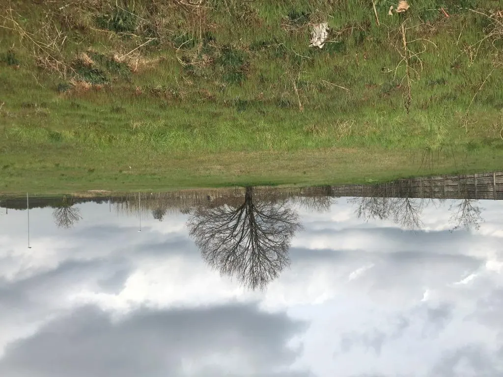 Terreno a Canneto sull'Oglio (Mantova) — foto 1