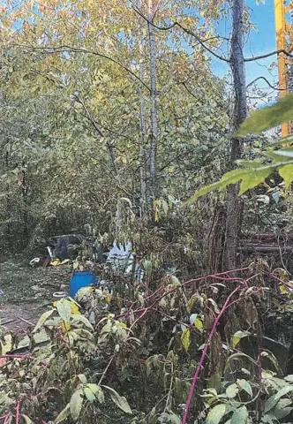 Terreno