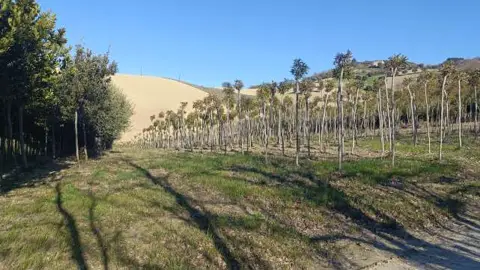 Terreno
