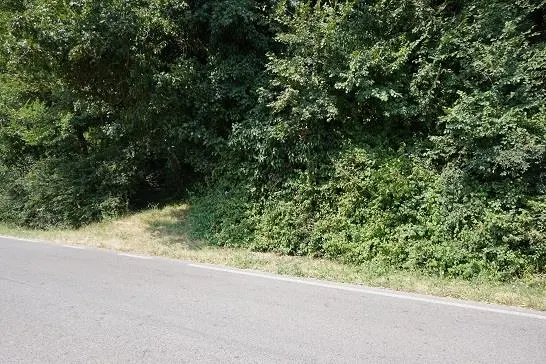 Terreno a Gambugliano (Vicenza) — foto 1