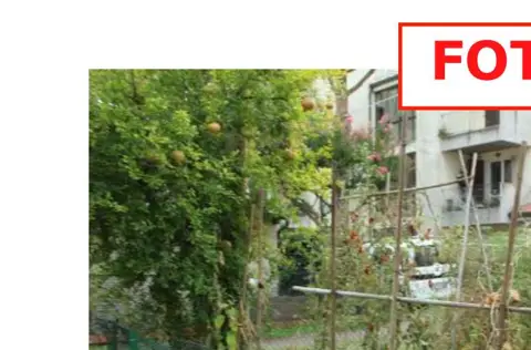 Appartamento