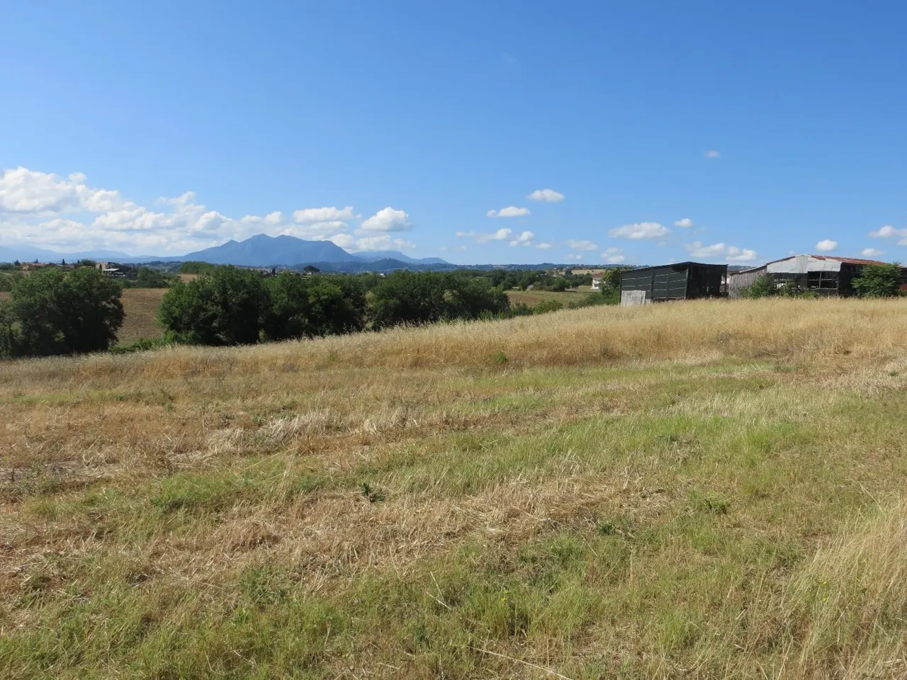 Terreno a Calvi (Benevento) — foto 1