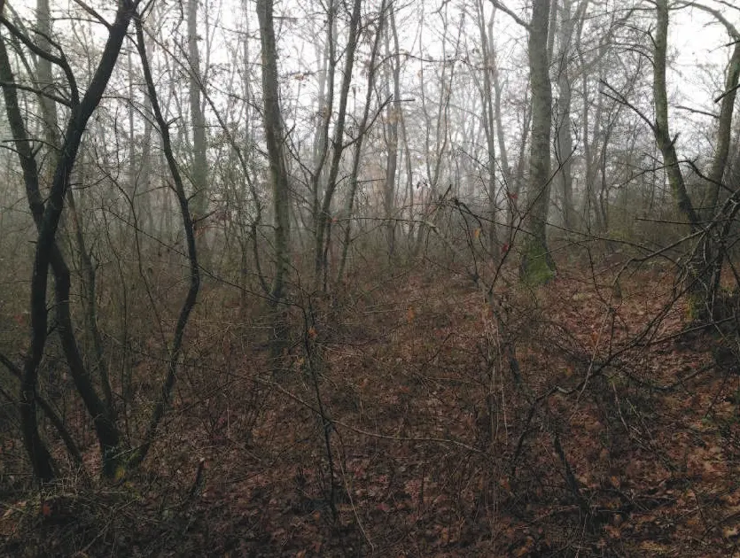 Terreno a Bomarzo (Viterbo) — foto 1