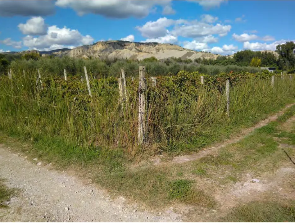 Terreno a Sant'Arcangelo (Potenza) — foto 1