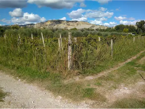 Terreno
