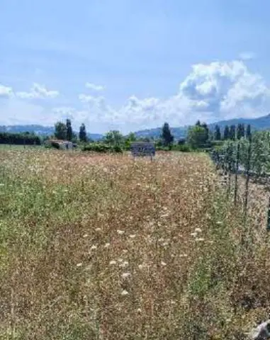 Terreno