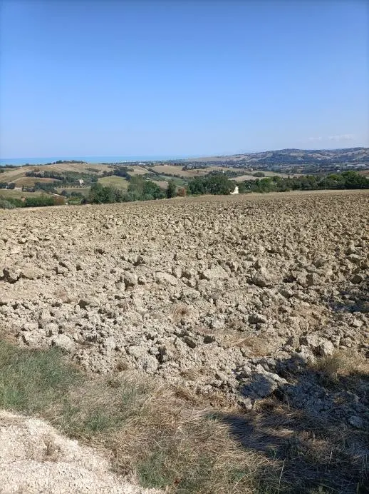 Terreno a Mondolfo (Pesaro e Urbino) — foto 1