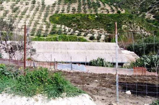 Compendio pignorato a Caltabellotta (Agrigento) — foto 1