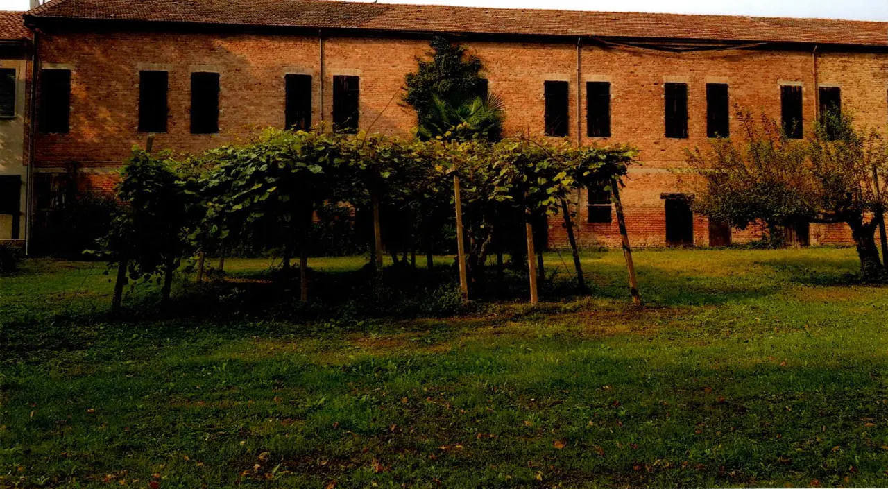 Magazzini e deposito a Vescovana (Padova) — foto 1