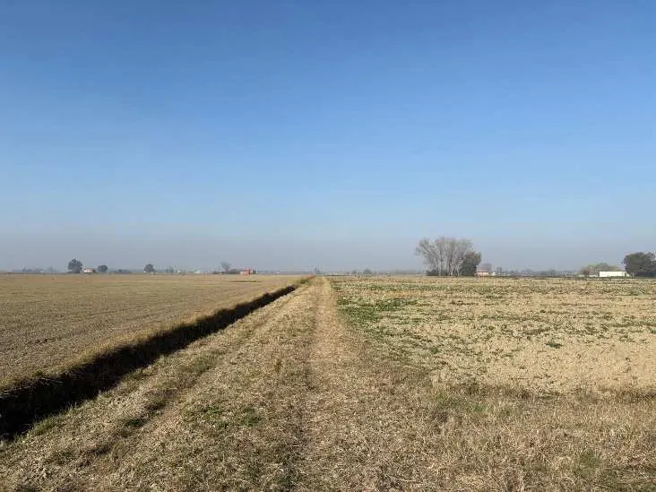 Terreno a Molinella (Bologna) — foto 1