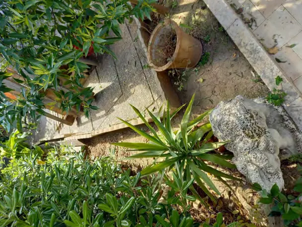 Appartamento a Rodi Garganico (Foggia) — foto 1