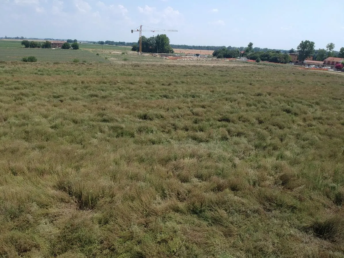 Terreno a Molinella (Bologna) — foto 1