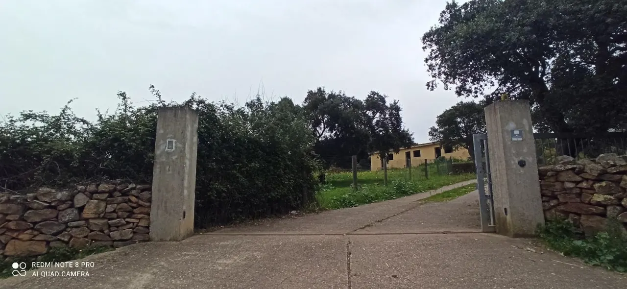 Compendio pignorato a Samugheo (Oristano) — foto 1