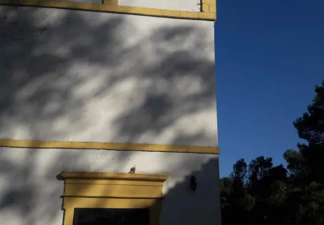 Teatri cinematografi sale a Montescaglioso (Matera) — foto 1