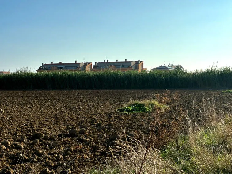 Terreno a Mondolfo (Pesaro e Urbino) — foto 1