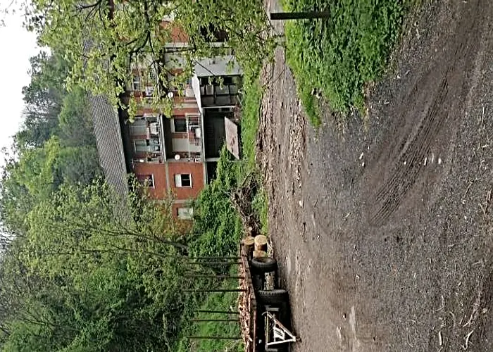 Negozi botteghe a Coggiola (Biella) — foto 1