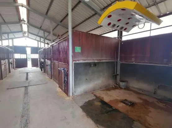 Fabbricati e locali per esercizi sportivi a Foggia (Foggia) — foto 1