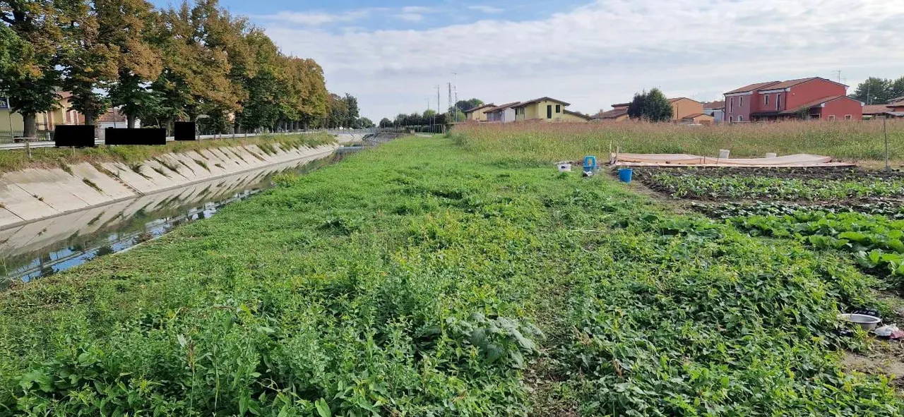 Terreno a Lendinara (Rovigo) — foto 1