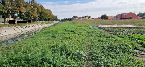 Terreno