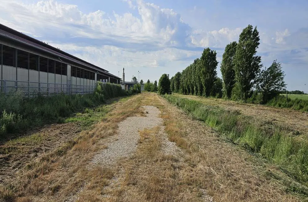 Terreno a Granze (Padova) — foto 1