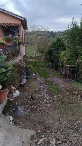 Appartamento