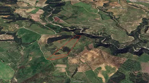 Terreno